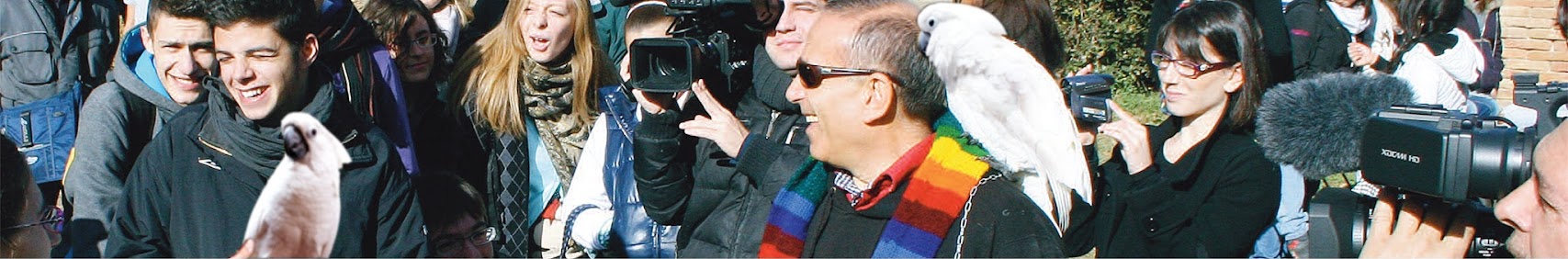 channels4_banner.jpg
